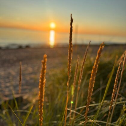 Kafejnīca pie jūras Saulkrastos - Kapteinis Kaija pludmale